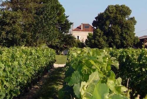 ホテル ドメーヌ ドゥ クイッティンナン ブリレット Moulis-en-Médoc エクステリア 写真